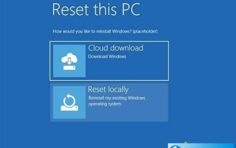 win10支持云端软件吗_云端windows_云端软件平台支持win10吗