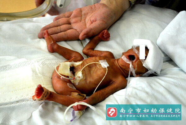 妇幼保健院丰台_丰台妇幼保健院保健科_丰台 妇幼 保健
