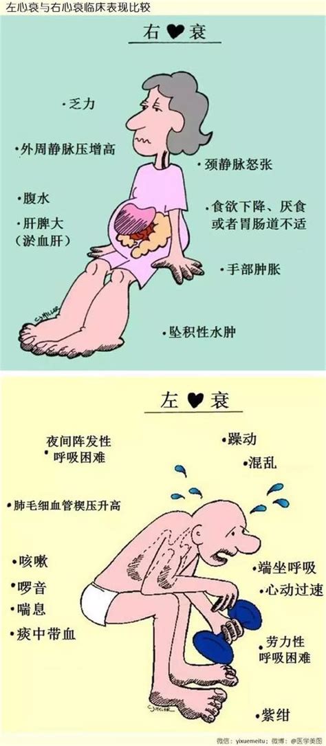 护理病人冠心病问题有哪些_冠心病护理问题及相关因素_冠心病病人的护理问题