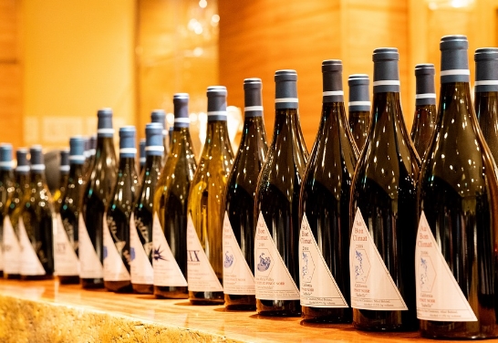 如何下载wine-探索 Wine：如何在 Windows 上运行 Linux 程序的神奇之旅