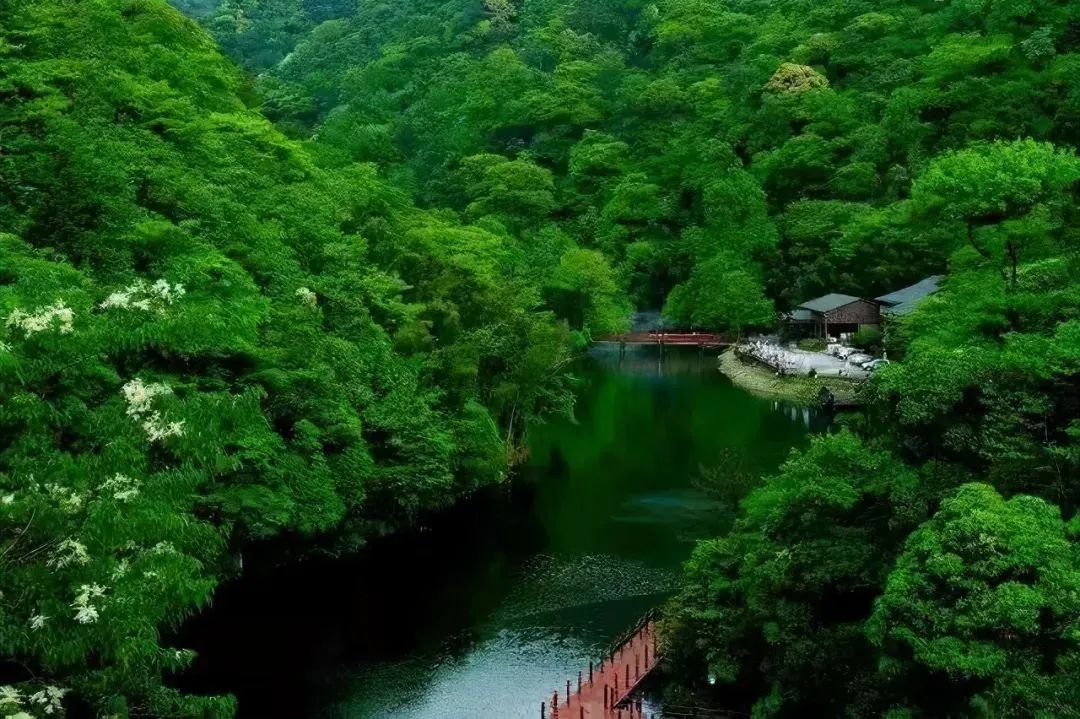 身份证登报挂失声明_免费身份证挂失声明_身份证挂失遗失声明网可靠吗