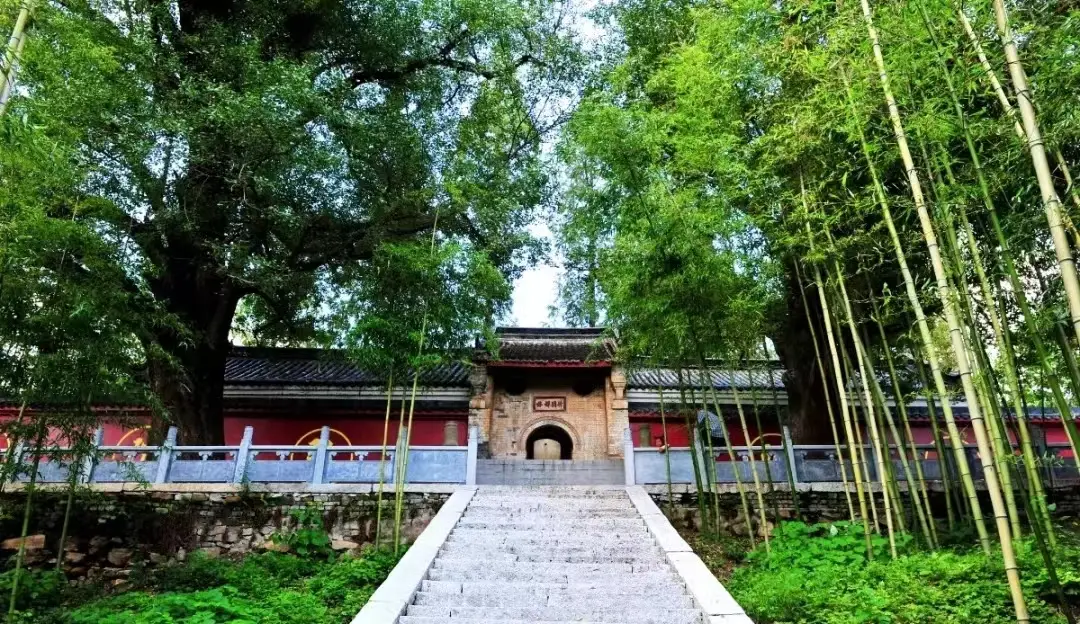 身份证挂失遗失声明网可靠吗_身份证登报挂失声明_免费身份证挂失声明