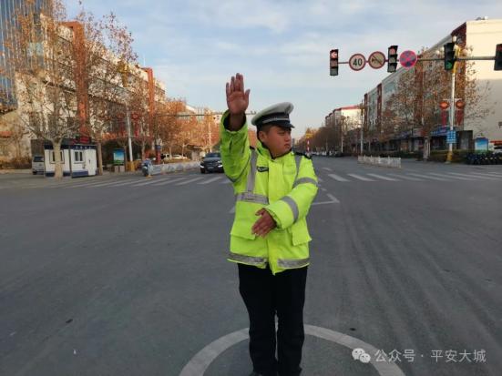 公安机动队搜查组_公安机动搜查队特搜组在线观看_crisis公安机动搜查队