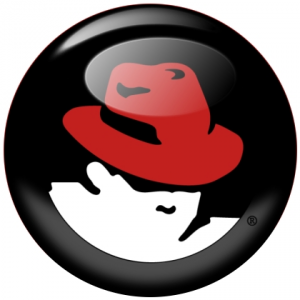 fedora dns_fedora dns_fedora dns