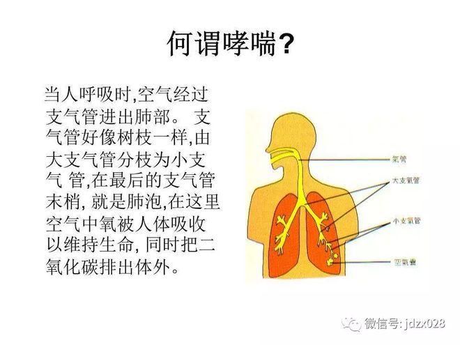 哮喘突然加重是什么原因_哮喘突然犯了怎么急救_突然哮喘怎么办