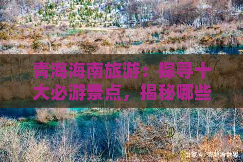 电脑疯子系统_电脑疯子论坛邀请码_电脑疯子技术论坛邀请码