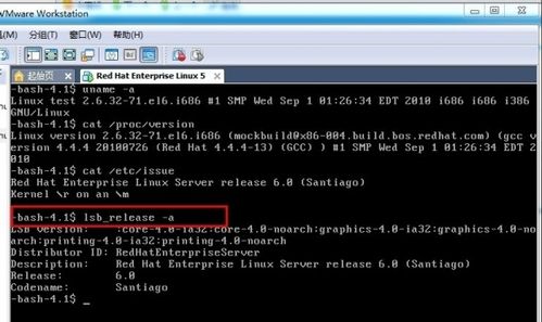 linux 系统版本比较