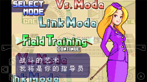 23a.png