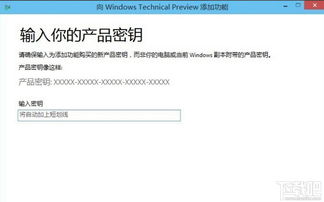 win10系统密钥,windows10系统官网下载