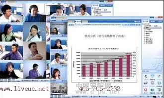 常春藤交互式视频会议系统软件,打造高效沟通新体验