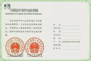 系统集成项目管理师,什么是系统集成项目管理师？
