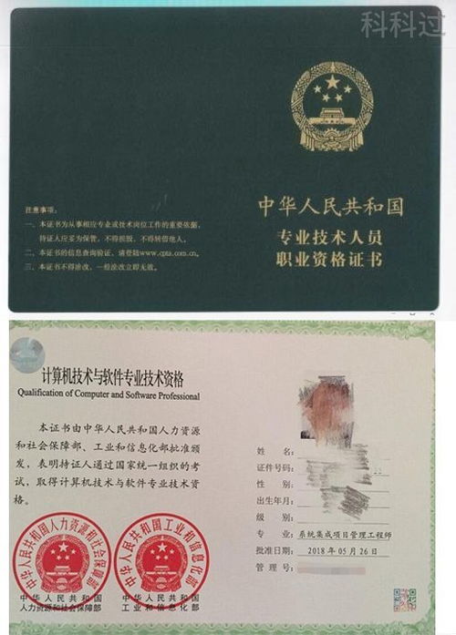 系统集成项目管理工程师2014,系统集成项目管理工程师的职业生涯规划与技能提升