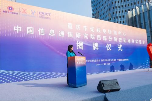 公共服务平台硬件费用,构成、影响因素及优化策略