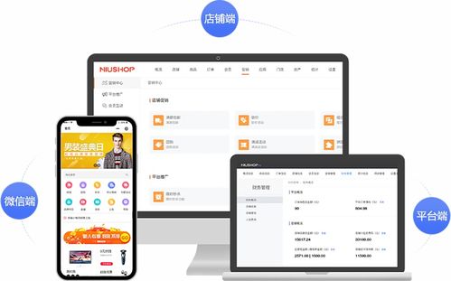 b2b2c商城系统java,深入解析B2B2C商城系统Java开发的优势与应用