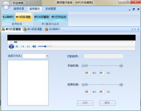 c 系统声音,原理、实现与应用