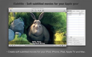 subtitle