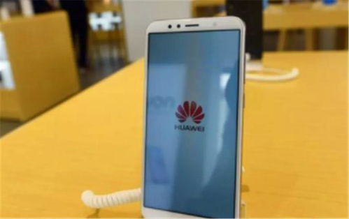 旧手机安卓系统学习,旧手机安卓系统深度解析与学习指南