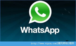 安卓系统上whatsapp,探索What