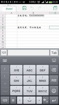 安卓系统exl表格,Android系统下
