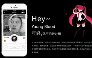 积目安卓系统,体验升级