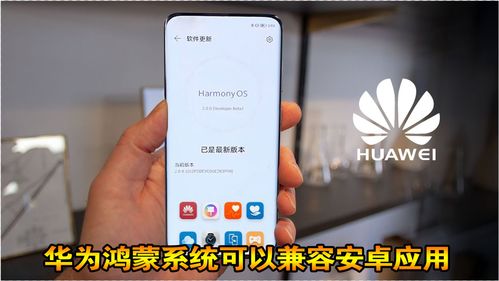 华为系统安卓应用,探索创新科技与个性化体
