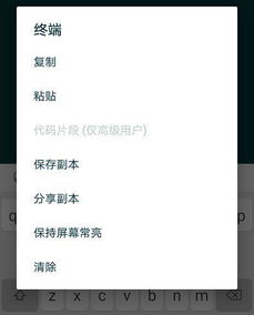 vps装安卓系统,搭建专属安卓系统体验之