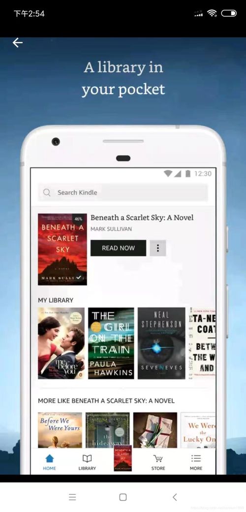 安卓系统上epub,安卓系统下EPUB文