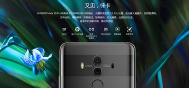 mate 10 系统 安卓,安卓新旗舰的