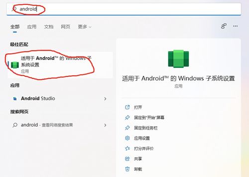 安卓系统 apk格式,安卓系统应用包的神
