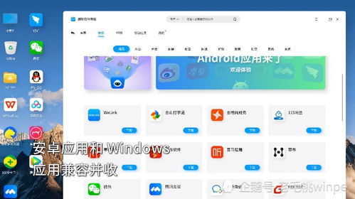 国产安卓系统大小,揭秘大小与性能的完美平