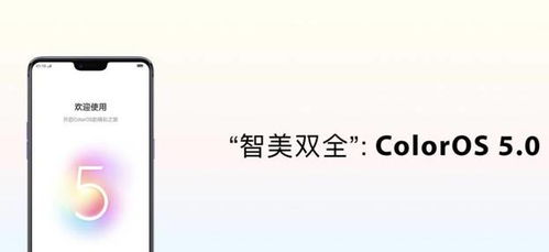 安卓系统和color,探索安卓系统与色彩