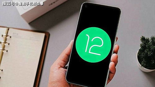 安卓原生13系统,系统革新与用户体验升级