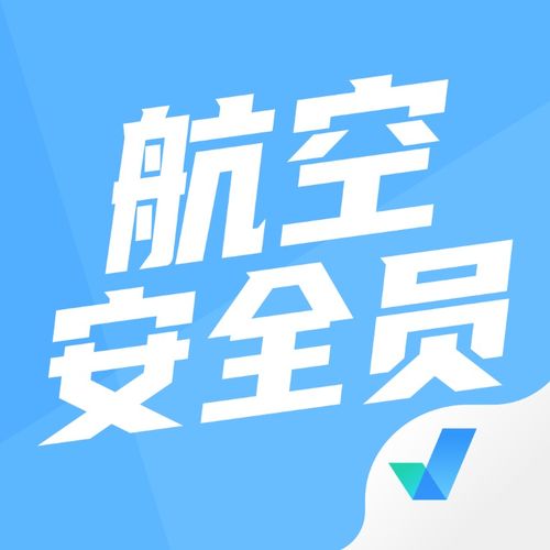 机场安全员模拟器 