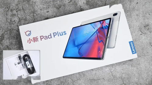 ipad部落安卓系统,安卓系统下的独特体