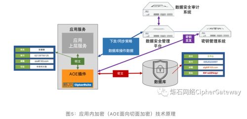 地球末日生存安卓版 