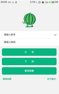 安卓系统电子西瓜卡,便捷出行新体验