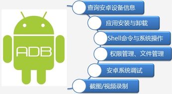 安卓系统机场接单技巧,轻松提升订单量