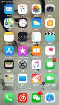苹果怎样安卓系统版本,系统版本演变与技术