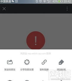 安卓10系统红包提醒,不错过每一份喜悦