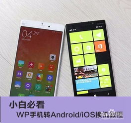 wp手机用安卓系统,探索新生态下的无限可