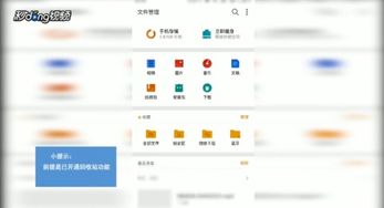 安卓系统文件管理照片,照片管理文件深度解