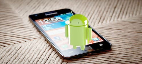 安卓系统的nvp在哪,Android系统