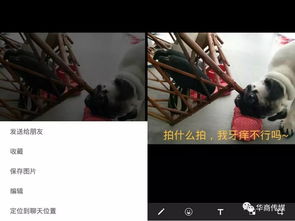 安卓系统裁剪视频长度,快速生成精彩视频概