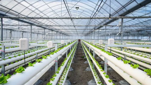安卓健种植系统优势,智能化农业管理的创新