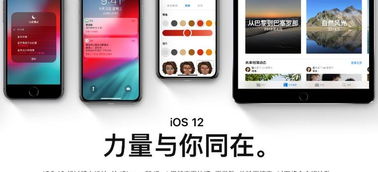 如何区分安卓手机系统,如何准确区分不同版