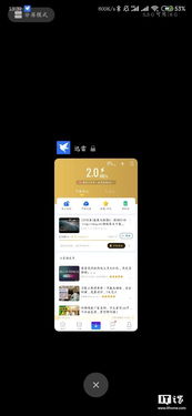 安卓系统10内存大,内存优化与大型应用流