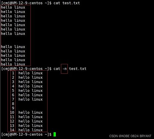 linux系统安卓命令大全,全面掌握安卓