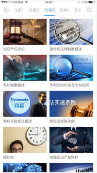 安卓系统知识产权,探索创新与保护的边界