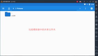 安卓系统怎么分享文件,轻松实现文件共享
