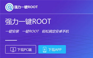 安卓系统root能干嘛,安卓系统Root